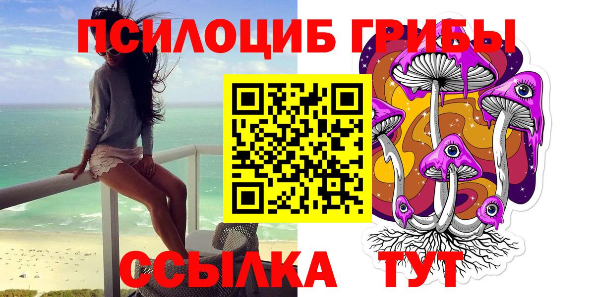 Галлюциногенные грибы Psilocybe  Вход с VPN  Тихорецк  Псилоцибиновые грибы Cubensis 